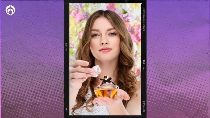 Elektra pone a mitad de precio el perfume Dolce&Gabanna floral frutal de los más vendidos