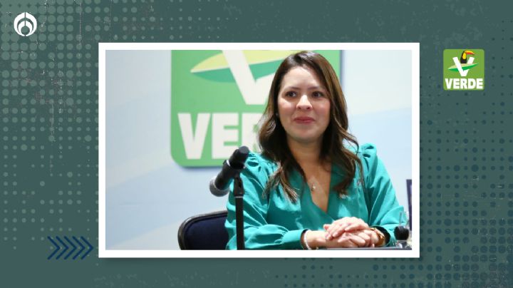 Gracias al Partido Verde, los ‘Huertos Urbanos’ serán Ley