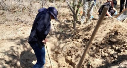 Localizan 113 restos óseos en fosa clandestina en municipio de Los Cabos