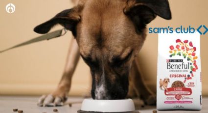 Sam's Club hace descuentote de más de 300 pesos a croquetas para perro Beneful de 20kg