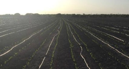 Sequía en Tamaulipas: elaboran presa con sistema de riesgo para optimizar el agua