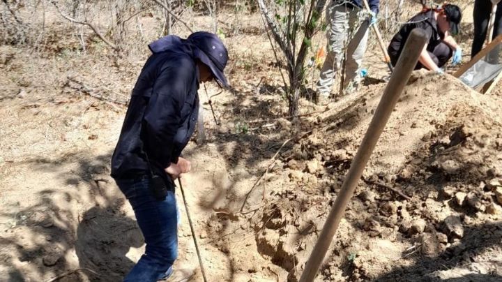 Localizan 113 restos óseos en fosa clandestina en municipio de Los Cabos