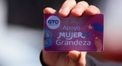 Panistas niegan tinte electoral de 300 mil tarjetas rosas en Guanajuato