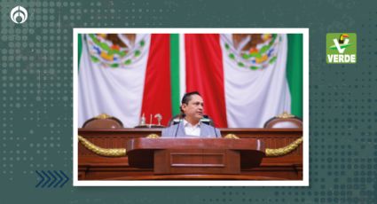 Busca Partido Verde CDMX que: “quien contamine, pague y repare el  daño”