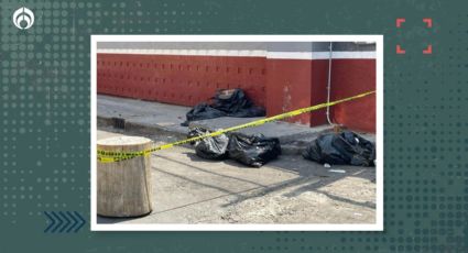 Crueldad animal en CDMX: abandonan restos decapitados en mercado de la GAM