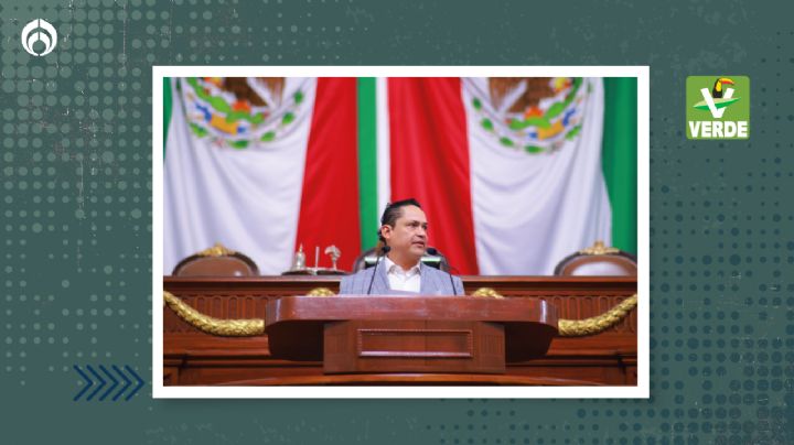 Busca Partido Verde CDMX que: “quien contamine, pague y repare el  daño”