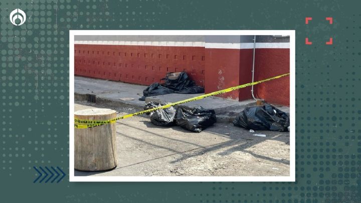 Crueldad animal en CDMX: abandonan restos decapitados en mercado de la GAM