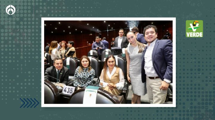 PVEM impulsa en Cámara de Diputados refuerzos para la seguridad cibernética del sector financiero