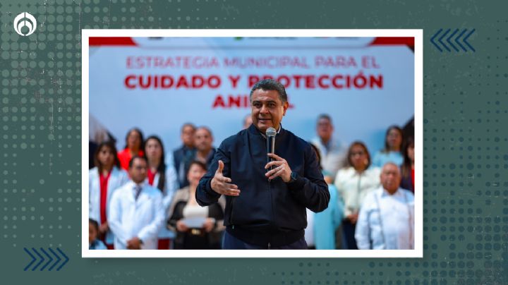 Tlalnepantla implementa la primera “Estrategia de Cuidado y Protección Animal”