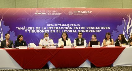 Realiza Sagarhpa mesa de trabajo sobre interacción entre pescadores y tiburones