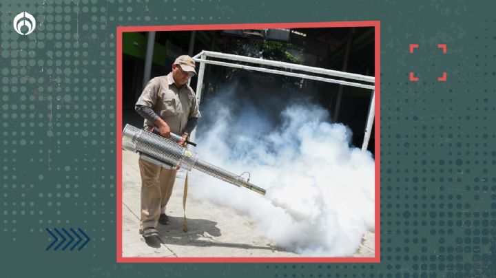 ¡Aguas con los mosquitos! Alertan por alza en casos de dengue en América Latina