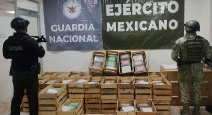 ¿Nopalitos con coca? Ejercito incauta más de 600 kilos de narcótico en Guanajuato