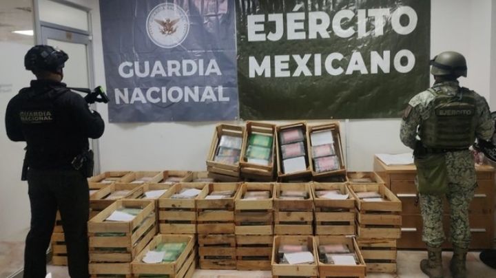 ¿Nopalitos con coca? Ejercito incauta más de 600 kilos de narcótico en Guanajuato