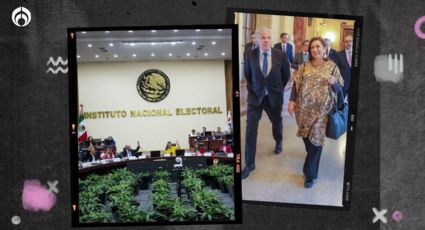 INE aclara: sí invitó a la OEA para observar las elecciones 2024