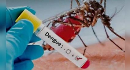 Reduce Sonora número de casos de dengue