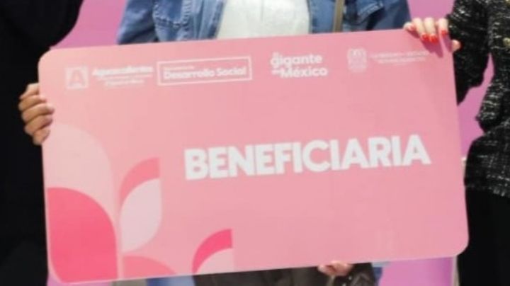 "No hay programa electoral en tarjeta rosa", asegura Libia Dennise tras acusaciones