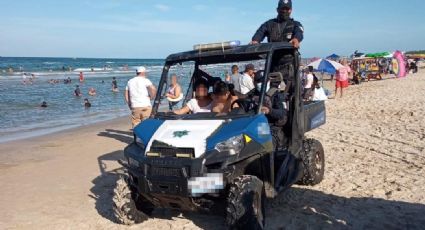 Tras la muerte de delfines en Playa Miramar, ecología pide mayor protección a especies marinas