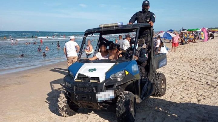 Tras la muerte de delfines en Playa Miramar, ecología pide mayor protección a especies marinas