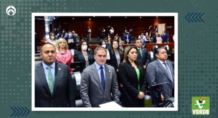 Diputados PVEM buscan duplicar sanciones para quienes ocasionen incendios forestales