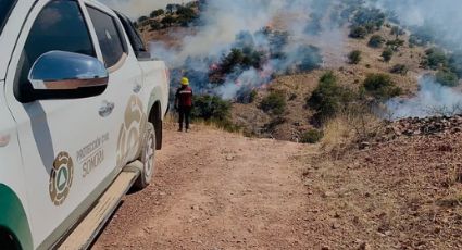 Inician mesas de trabajo para prevención de incendios forestales en Sonora