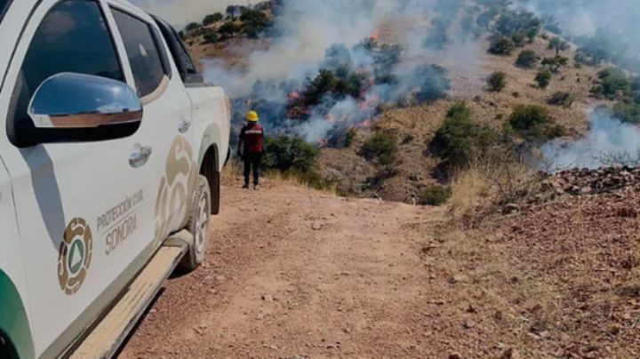 Inician mesas de trabajo para prevención de incendios forestales en Sonora