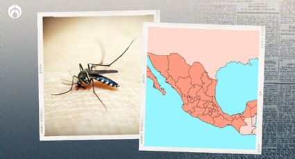 Alerta por dengue en México: analizan 100 defunciones por la enfermedad