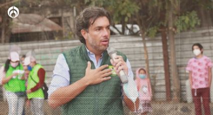 Partido Verde CDMX pide garantizar la seguridad del proceso electoral 2024