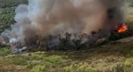 (VIDEO) Captan gran incendio en Reserva Ecología; hasta 40 hectáreas han sido afectadas