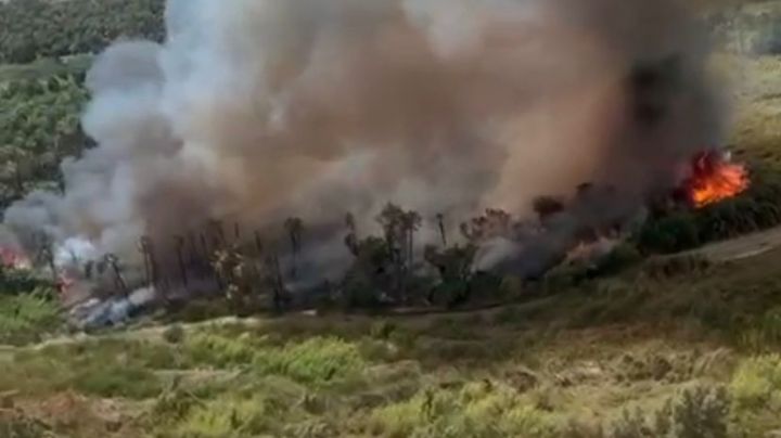 (VIDEO) Captan gran incendio en Reserva Ecología; hasta 40 hectáreas han sido afectadas