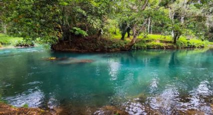 Equinoccio de primavera: invitan a concientizar y pedir por la madre tierra en el Río Atoyac