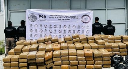 Cateo en bodega de NL deja más de una tonelada de droga asegurada