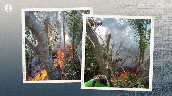 Incendio en Acapulco: fuego consume a Cumbres de Llano Largo cerca del Abierto de Tenis (VIDEOS)