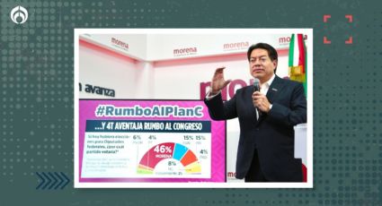 Avanza el plan C, celebra Mario Delgado: 'no aflojaremos el paso', dice