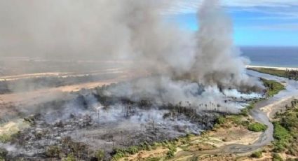 Incendio forestal en Los Cabos: FGR inicia investigación por delito ambiental