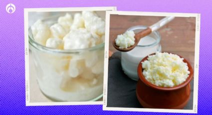 ¿Cómo se cuidan los búlgaros de leche y cuáles son los beneficios para la salud?