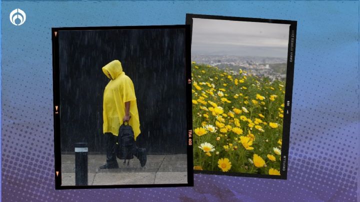 Clima hoy jueves 21 de marzo: Frente frío 'ceba' inicio de la primavera en estos estados