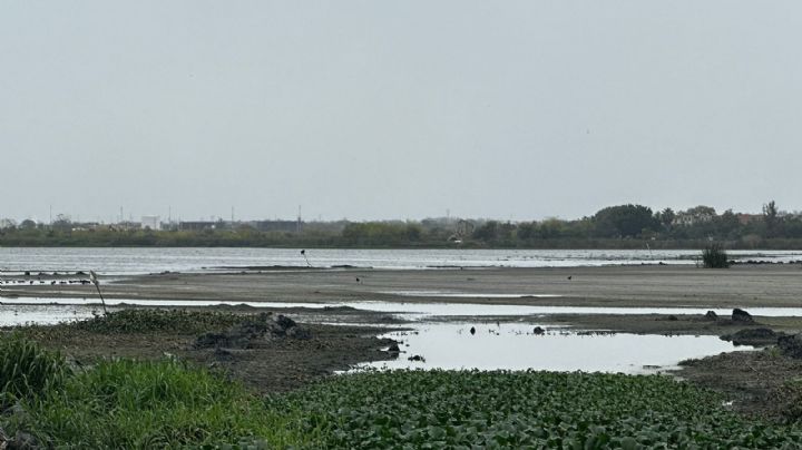 Frentes fríos han provocado registro de agua en el sistema Lagunario de Tampico