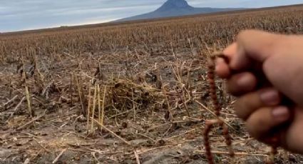 Rezan por lluvias en Tampico: Diócesis oran por un milagro en el Cerro del Bernal