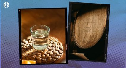 ¿Tequila Don Julio cristalino o reposado? Este es el mejor, según expertos