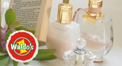 Waldo's: Conoce los 10 perfumes (para hombre y mujer) que cuestan menos de 200 pesos