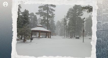 Octava tormenta invernal enfría tus vacaciones con nevadas y lluvias en estos estados