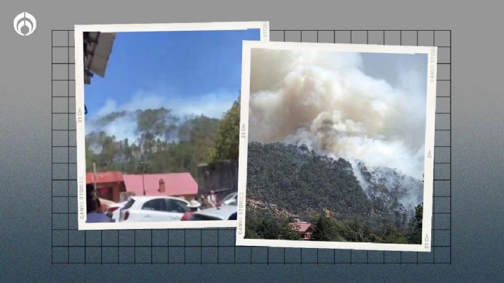 (VIDEO) Incendio en Mineral del Chico: llamas consumen el corredor de 'La Compaña'