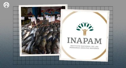 INAPAM 2024: 7 pescaderías con descuento a adultos mayores en Semana Santa 2024