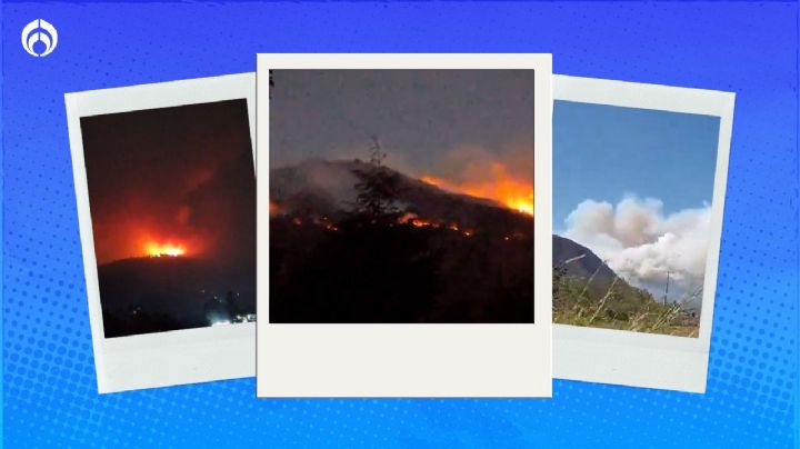 Bosques mexicanos arden: se incendian y sufren la sequía (VIDEOS)