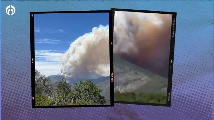 (VIDEO ) Fuego en Nuevo León: incendio de gran magnitud 'devora' la Sierra de Zaragoza