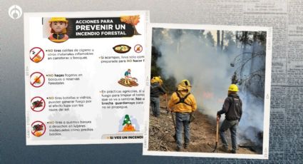 Edomex 'lucha contra incendios forestales': así puedes ayudar a prevenirlos