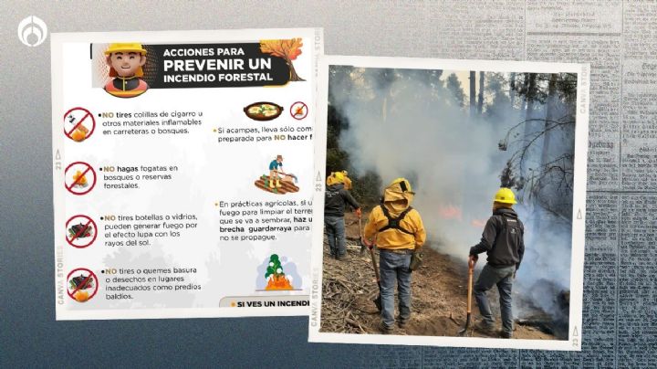 Edomex 'lucha contra incendios forestales': así puedes ayudar a prevenirlos