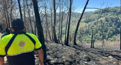 Incendios forestales: así el recuento de los daños tras 27 siniestros en Querétaro