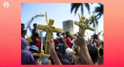 ¿Qué hacer con las palmas del Domingo de Ramos después de Semana Santa?