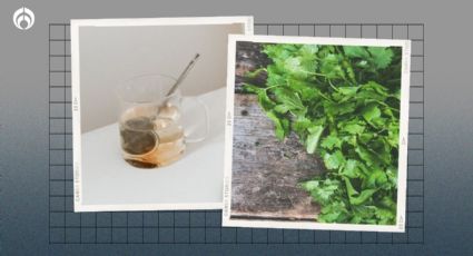 Agua de cilantro: cómo prepararla y TODOS los beneficios que aporta a tu salud